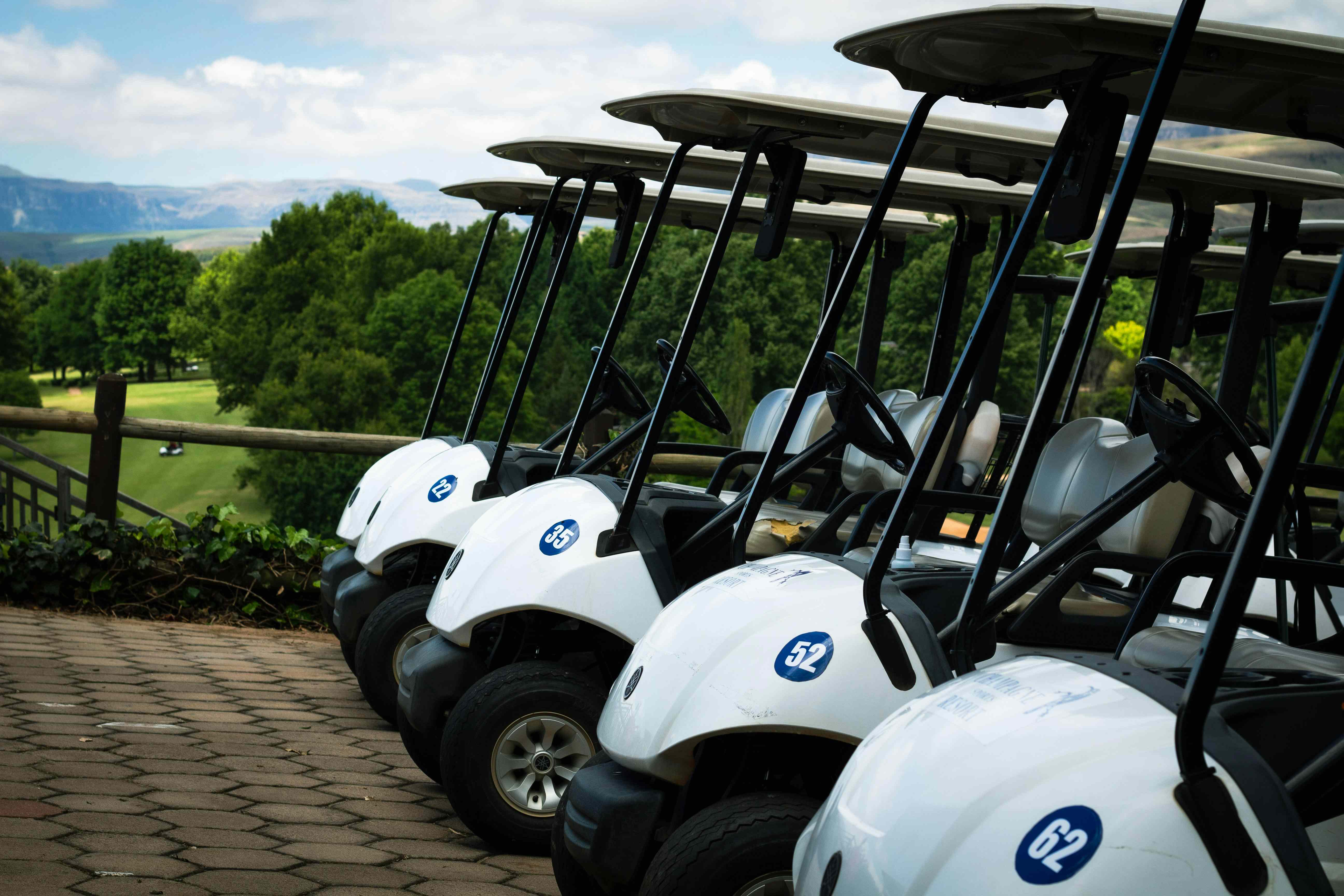 Fleet of golf carts